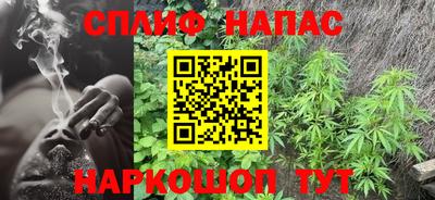 гашишное масло Берёзовский