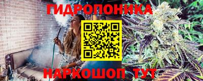 гашишное масло Берёзовский